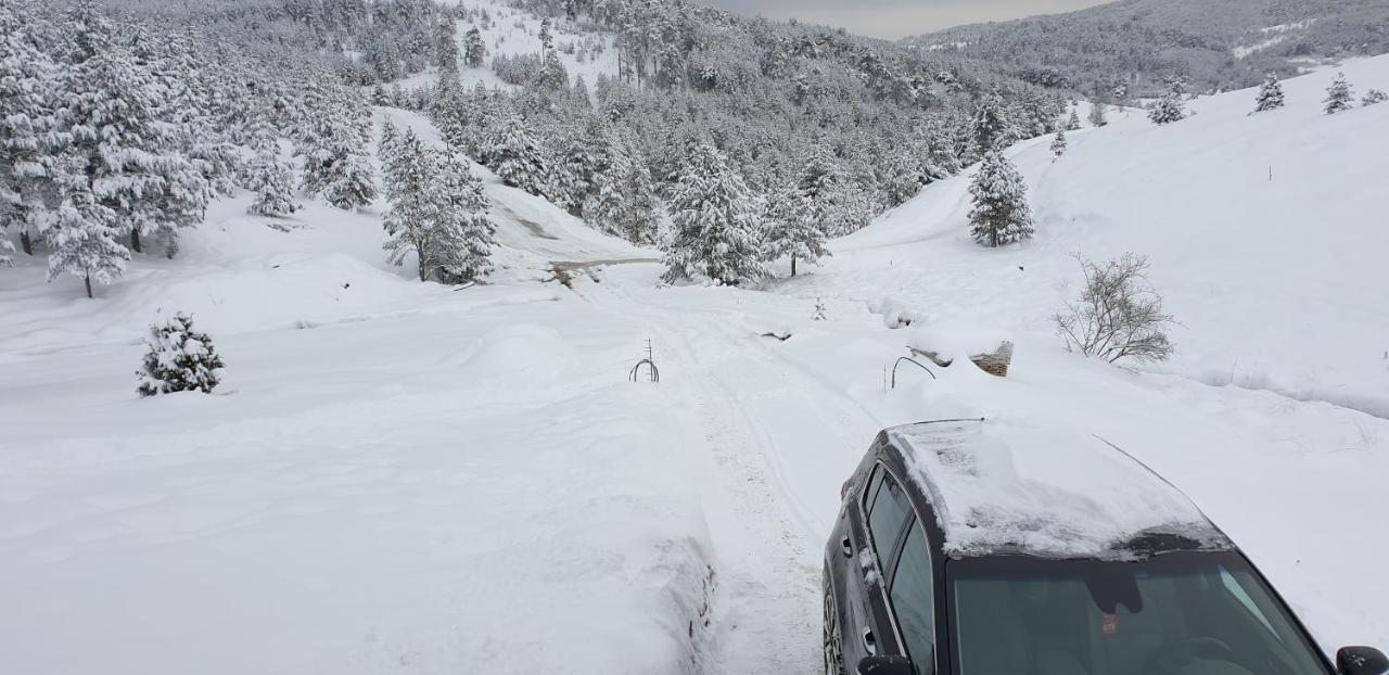 Lodge Ljubiska Previja المظهر الخارجي الصورة